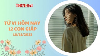 Tử vi hôm nay 12 con giáp 18/11/2023: Thân kiếm thêm được một khoản lớn
