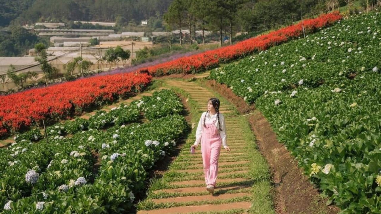 Tử vi hôm nay 12 cung hoàng đạo 21/11/2023: Sư Tử may mắn cận kề đầu tư trúng lớn