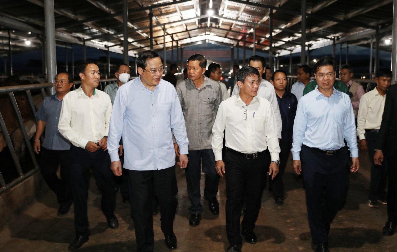 Trái ngọt đầu tư hợp tác Việt – Lào