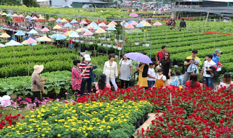 Đồng Tháp: Ra mắt 4 tour du lịch mới dịp Festival Hoa – Kiểng Sa Đéc lần I năm 2023