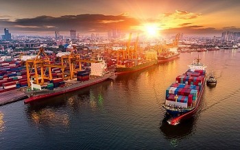 Việt Nam - Hoa Kỳ: Vun đắp niềm tin, hợp tác sâu rộng
