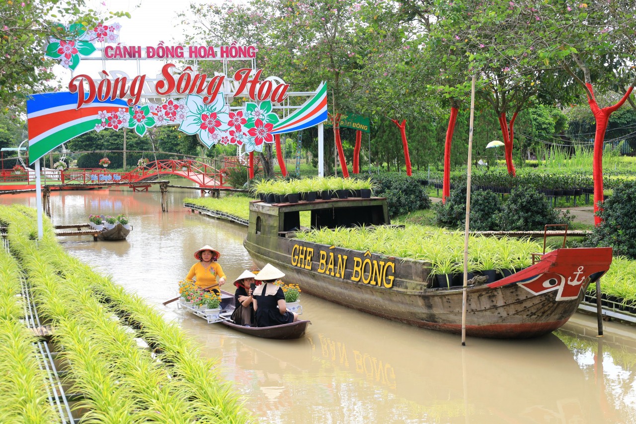 Đồng Tháp tổ chức Festival hoa kiểng Sa Đéc lần đầu tiên