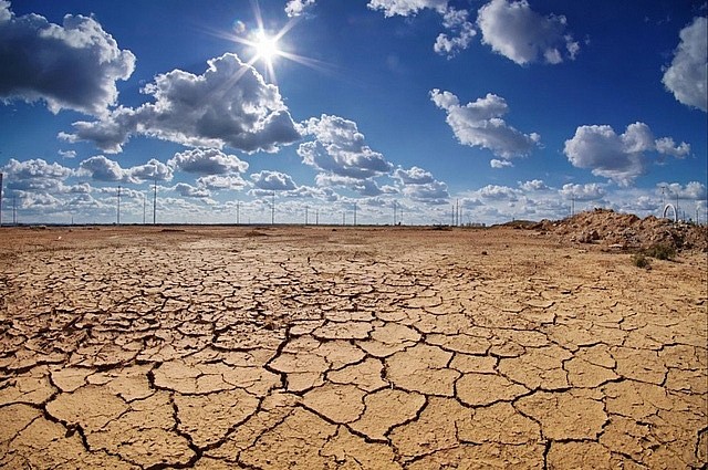 WMO cảnh báo nhiệt độ trái đất đang nóng lên từng ngày. Ảnh minh họa.