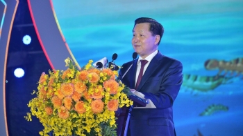Sản phẩm tôm Cà Mau đã có mặt trên 60 quốc gia và vùng lãnh thổ