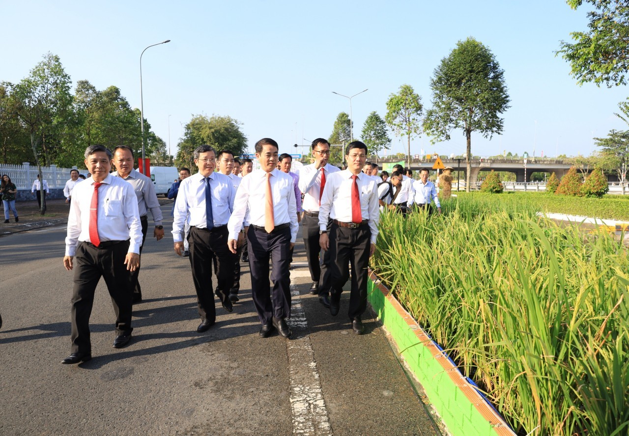 Hậu Giang: Khai mạc triển lãm “Con đường lúa gạo” tuyến kênh Xáng Xà No huyền thoại