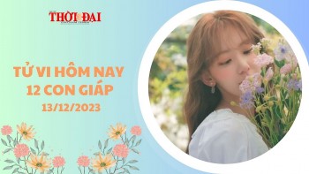 tu vi hom nay 12 con giap 13122023 mui ngo phat tai nhanh chong