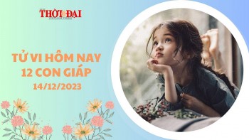 Tử vi hôm nay 14/12/2023 12 con giáp: Tý công thuận lợi thăng chức bất ngờ