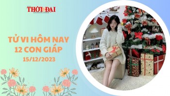 Tử vi hôm nay 12 con giáp 15/12/2023: Tỵ gặp được quý nhân Thân vô cùng may mắn
