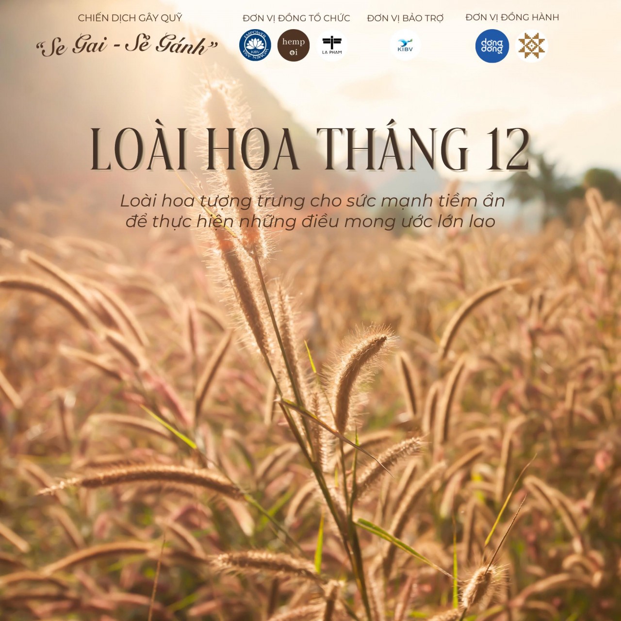 Empower Women Asia và hành trình san sẻ gánh nặng cùng phụ nữ vùng cao