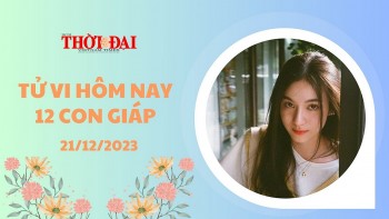 Tử vi hôm nay 12 con giáp 21/12/2023: Mão vướng bất hòa Ngọ gấp đôi may mắn