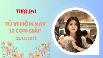 Tử vi hôm nay 12 con giáp 22/12/2023: Sửu Mão gặp cát tinh tiền tài nổ két