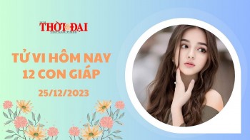 Tử vi hôm nay 12 con giáp 25/12/2023: Ngọ phát tài bất ngờ