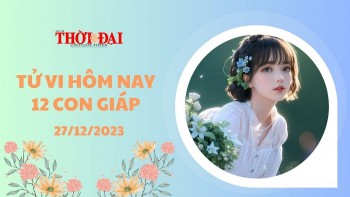 Tử vi hôm nay 12 con giáp 27/12/2023: Thân dễ bị chèn ép, Dậu chuyển biến tích cực