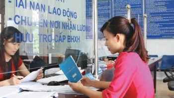 canh bao nhieu hanh vi gian lan truc loi quy bhxh bhtn bhyt