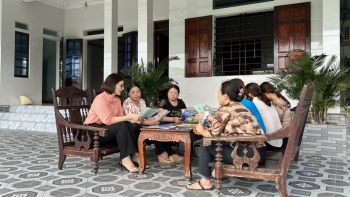 Ban hành 260 quyết định xử phạt vi phạm hành chính về BHXH, BHYT, BHTN