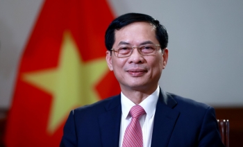 Phát huy mạnh mẽ bản sắc "ngoại giao cây tre Việt Nam"
