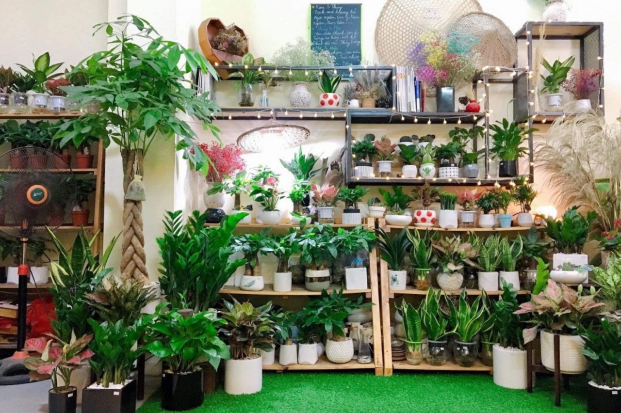 Tết Dương lịch 2024: Quà tết dương lịch cho đối tác ý nghĩa nhất