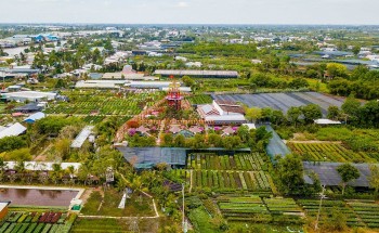 Khai mạc Festival Hoa - Kiểng Sa Đéc “Tình đất - Tình hoa”