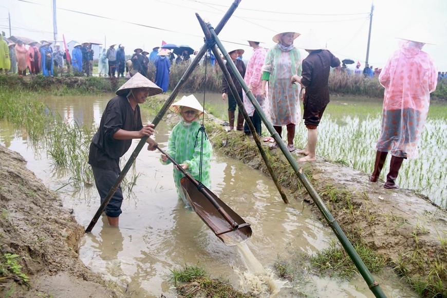 Du khách quốc tế trải nghiệm làm nông dân, xuống đồng cấy lúa tại Hội An