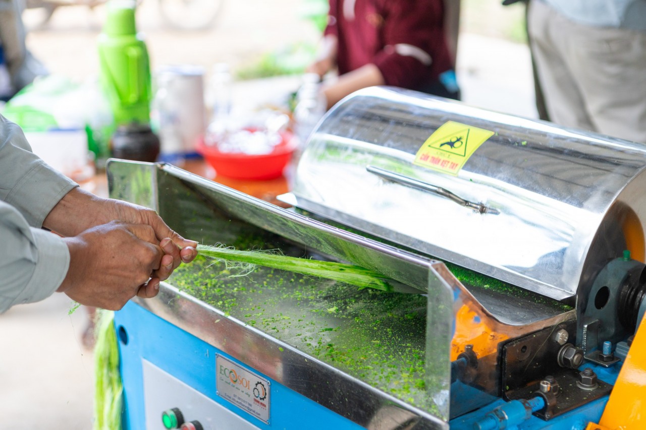 Đắk Lắk: Người nông dân có thêm nguồn thu nhập nhờ biết cách tận dụng phụ phẩm lá dứa