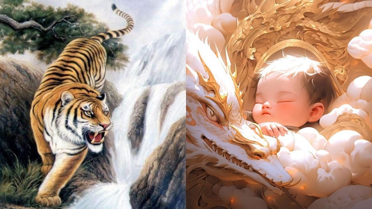 Tuổi Bính Dần 1986 có nên sinh con năm 2024 không?