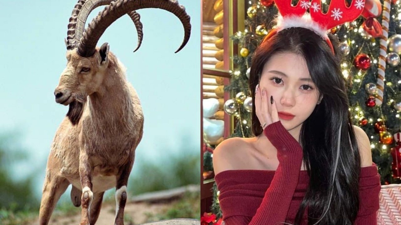 Tử vi tháng 12/2023 12 con giáp âm lịch: Tý vượng phát tháng cuối năm