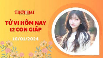Tử vi hôm nay 12 con giáp 16/1/2024: Tý lao đao Dần tiền vào như nước