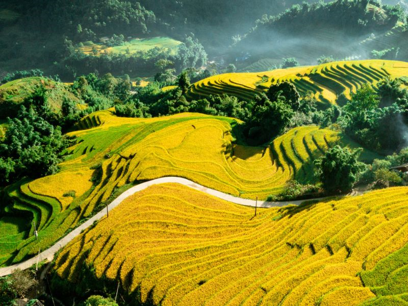 Nền tảng du lịch trực tuyến Tripadvisor vinh danh vịnh Hạ Long và Sa Pa