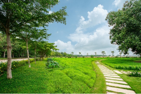Cây xanh là hàng rào sinh học tự nhiên giúp hạn chế các tác động đến hệ sinh thái và góp phần điều hòa khí hậu chung cho cả khu vực lân cận.