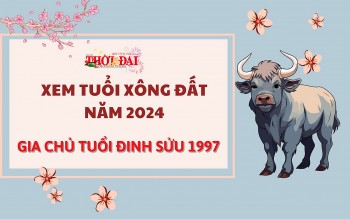 Tuổi xông đất năm 2024 cho gia chủ tuổi Đinh Sửu 1997