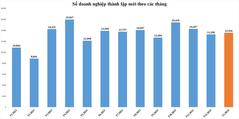 dnmoi-5164.png