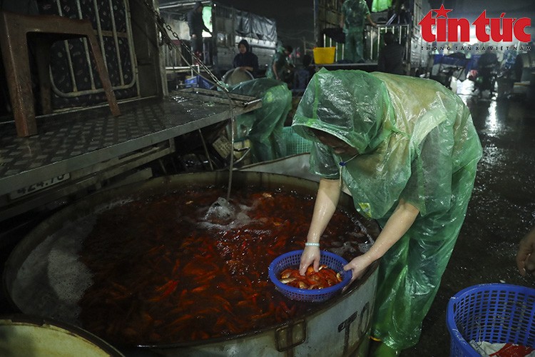 Chợ Yên Sở đỏ ối cá chép tiễn ông Công ông Táo về trời