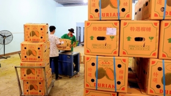 Đề nghị Trung Quốc mở rộng nhập khẩu hàng hóa, nông thủy sản của Việt Nam