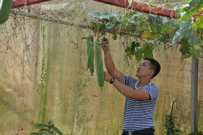 Chắt chiu màu xanh nơi điệp trùng sóng gió