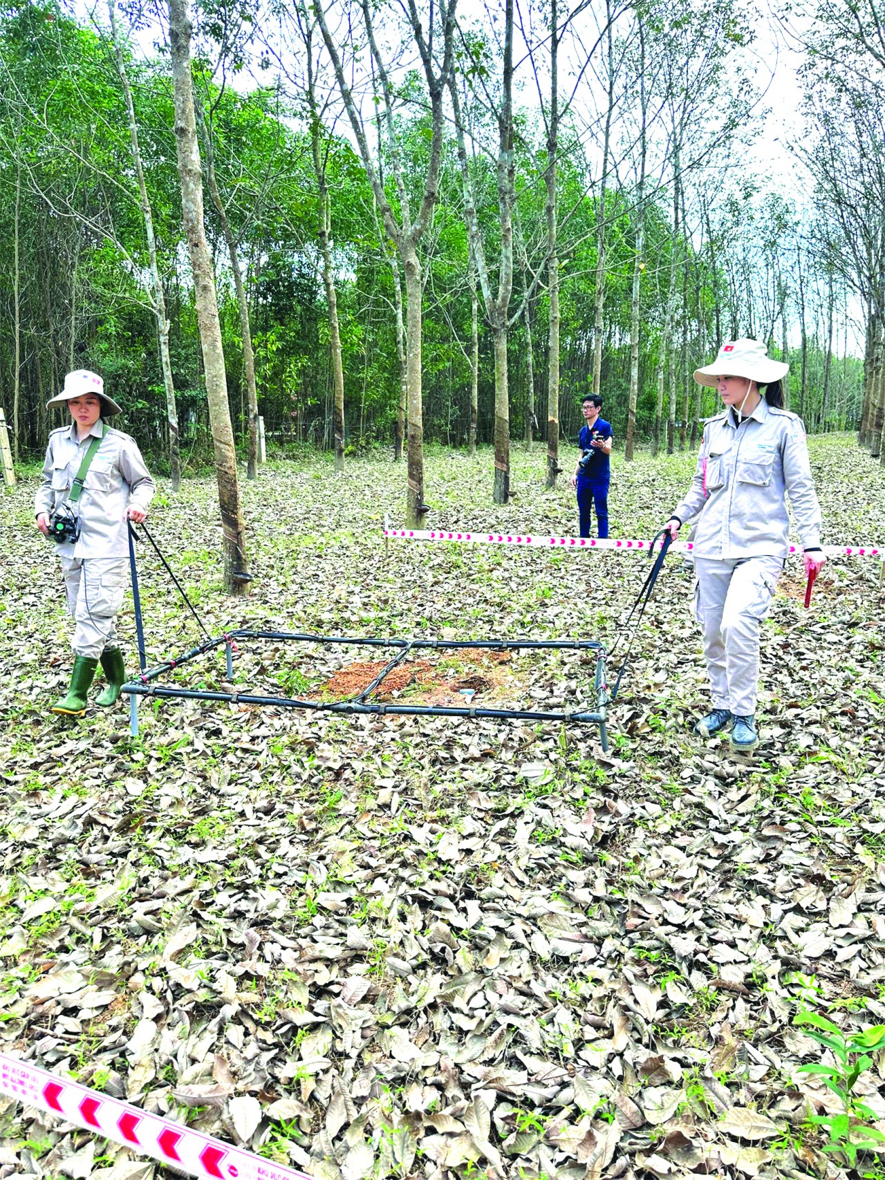 Hoạt động rà phá bom mìn còn sót lại sau chiến tranh của Tổ chức Cây hòa bình Việt Nam.