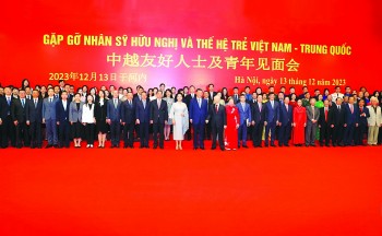 lien hiep cac to chuc huu nghi viet nam mot nam nhin lai