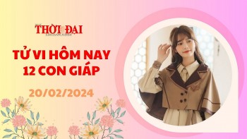 Tử vi hôm nay 12 con giáp 20/2/2024: Tị công danh sự nghiệp thuận lợi