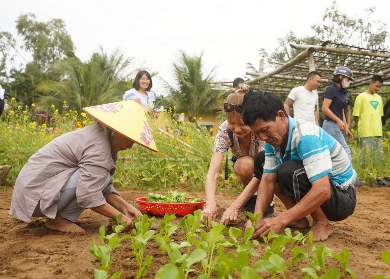 Du khách tập cấy cải cùng người dân làng Trà Quế. (Ảnh: hoianrt.vn)