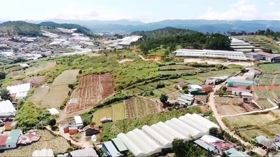 Giao dịch đất nền ở Đà Lạt giảm mạnh