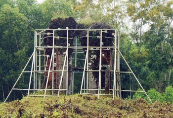 Ấn Độ tham gia bảo tồn, khôi phục Phật viện Đồng Dương