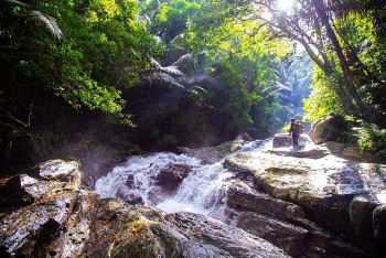 earthworm foundation trong 50000 cay ban dia giup qua ng bi nh phuc hoi canh quan sinh thai