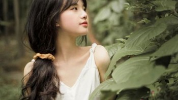 Tử vi hôm nay 12 cung hoàng đạo 26/2/2024: Sư Tử nhận tin vui về công việc