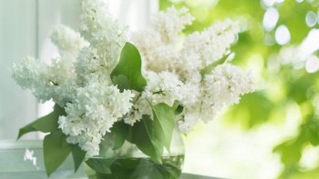 Tử vi hôm nay 12 cung hoàng đạo 3/3/2024: Kim Ngưu có bước ngoặt lớn trong công việc