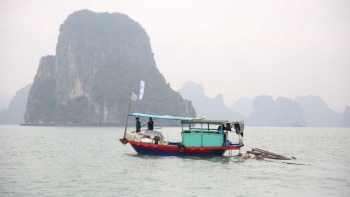 Quảng Ninh: Tăng cường làm sạch môi trường Vịnh Hạ Long, thu hút du khách dịp đầu xuân