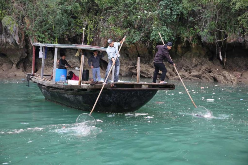 Trung tâm bảo tồn 2 (Ban Quản lý Vịnh Hạ Long) tăng cường lực lượng, phương tiện để thu gom rác, phao xốp trên Vịnh (Ảnh: Quangninh.gov.vn)