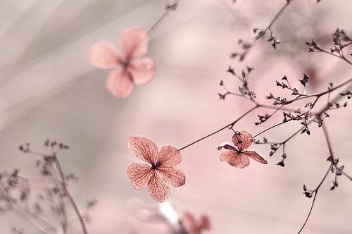 Tử vi hôm nay 12 cung hoàng đạo 12/3/2024: Kim Ngưu cuộc đời bước sang trang mới
