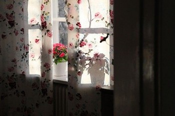 Tử vi hôm nay 12 cung hoàng đạo 14/3/2024: Thiên Bình gặp biến cố trong chuyện tình cảm