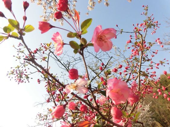 Tử vi hôm nay 12 cung hoàng đạo 17/3/2024: Kim Ngưu đạt được thành công ngoài mong đợi