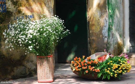 Tử vi hôm nay 12 cung hoàng đạo 19/3/2024: Bạch DƯơng liều lĩnh Xử Nữ phải quyết tâm hơn