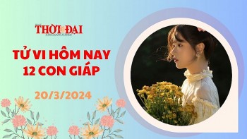 Tử vi hôm nay 12 con giáp 20/3/2024: Dậu may mắn vượt bậc